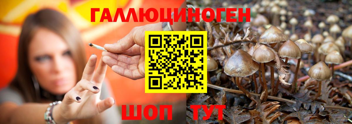 Псилоцибиновые грибы MAGIC MUSHROOMS Коломна