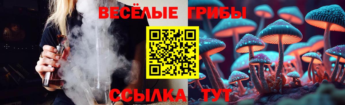 Галлюциногенные грибы MAGIC MUSHROOMS  Вход с VPN  даркнет сайт  Коломна  Псилоцибиновые грибы Magic Shrooms 